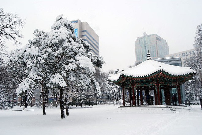 Chi tiết hơn 139 tuyết rơi hình nền giáng sinh 3d hay nhất thdonghoadian